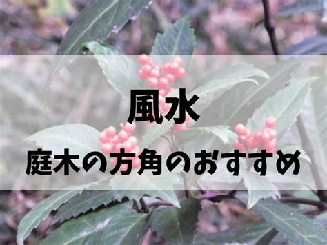 松紅梅風水|風水で庭木の方角のおすすめと縁起がいい庭木の言い。